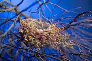 Bird's nest, made with flowers